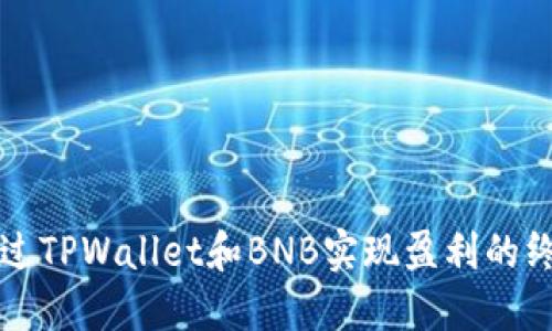 如何通过TPWallet和BNB实现盈利的终极指南