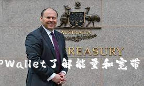 如何通过TPWallet了解能量和宽带费用的策略