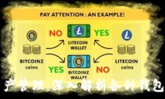   区块链数字资产管理：深入解析各种钱包与通道
