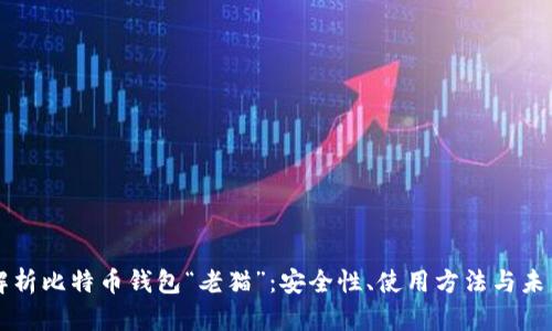 全面解析比特币钱包“老猫”：安全性、使用方法与未来展望