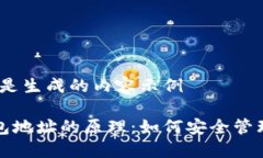 缺少信息，以下是生成的内容示例揭秘比特币钱