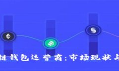 优质全面解析区块链钱包运营商：市场现状与未