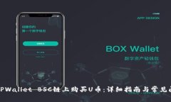 如何在TPWallet BSC链上购买U币：详细指南与常见问