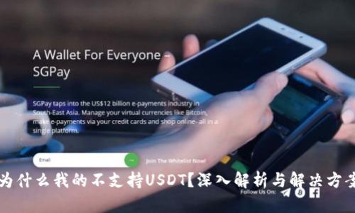 为什么我的不支持USDT？深入解析与解决方案