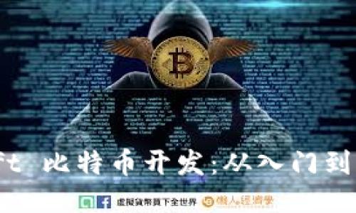 Swift 比特币开发：从入门到精通