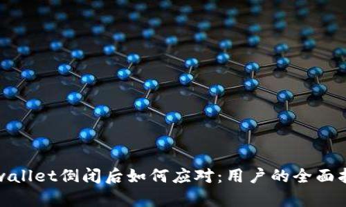 tpwallet倒闭后如何应对：用户的全面指南