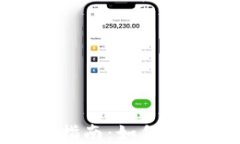 位只中国电信区块链查询指南：如何安全高效管