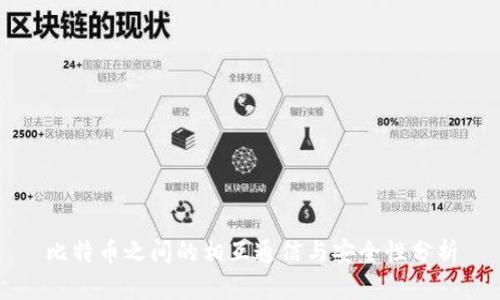 比特币之间的相互通信与安全性分析